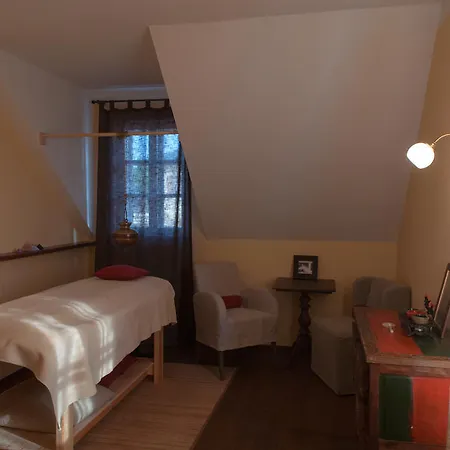 Гостевой дом Babiccina Zahrada & Restaurant 3*